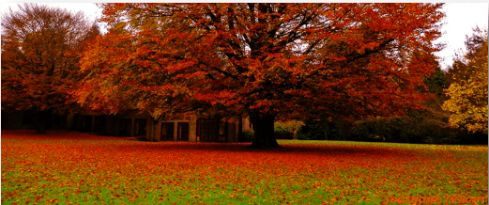 Screen Shot 2017-10-30 at 09.23.40